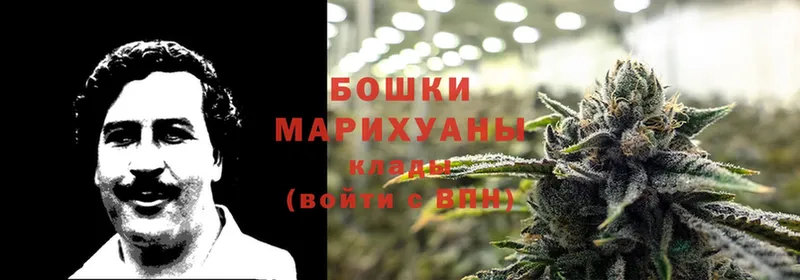 Марихуана SATIVA & INDICA  площадка телеграм  Шумерля 